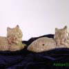 Hubley Cast Iron Cats, Persian Doorstops (2) <FONT COLOR="ff000 ">*SOLD*</font> - Image 3
