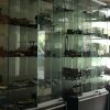 old-toys-for-sale-antique-windup